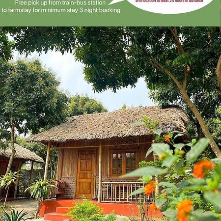 Ninh Binh Bamboo Farmstay Ngoại thất bức ảnh