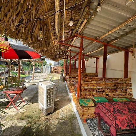 Ninh Binh Bamboo Farmstay Ngoại thất bức ảnh