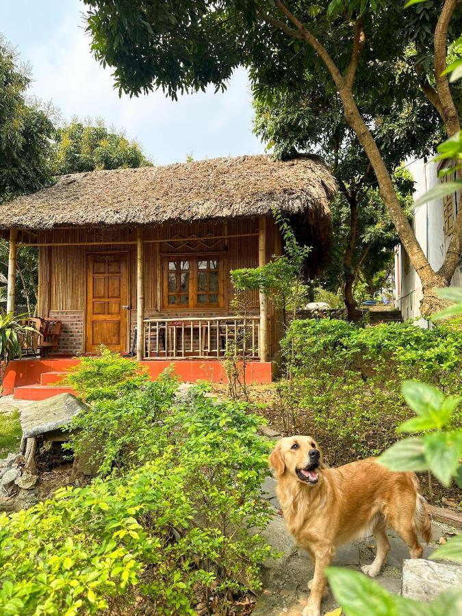 Ninh Binh Bamboo Farmstay Ngoại thất bức ảnh