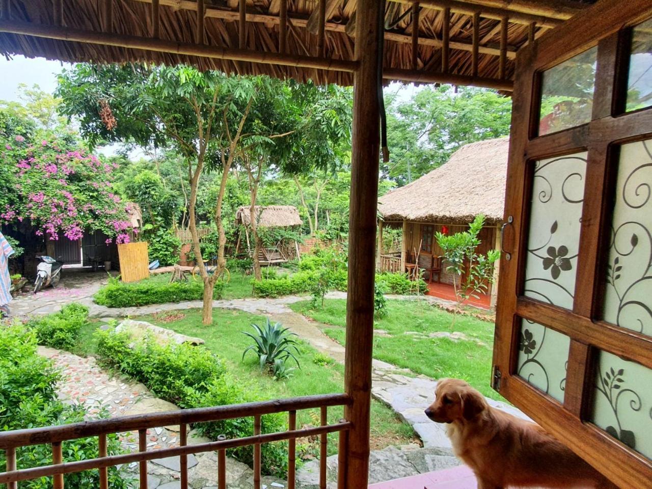 Ninh Binh Bamboo Farmstay Phòng bức ảnh